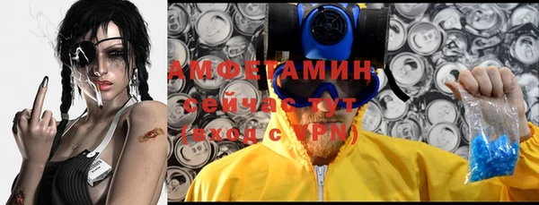 spice Богданович