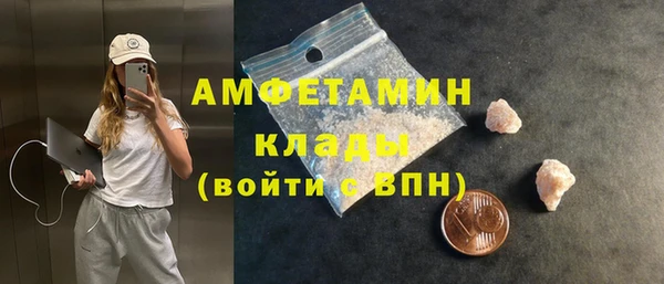 spice Богданович